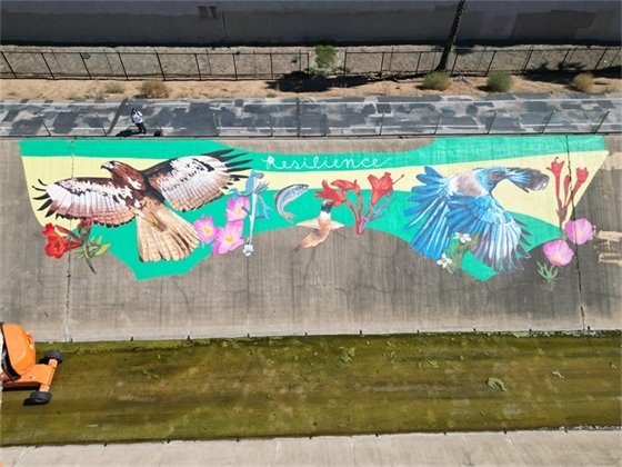 Photo of art in the creek trail