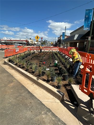 Landscaping crews plants greenery along Grand Avenue. 