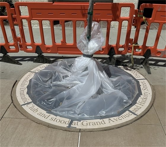 Sandblasted decoration around tree ring. 