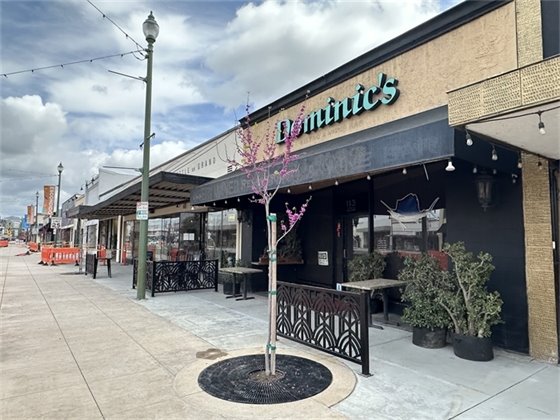 New tree sapling and decorative fencing outside local business. 