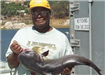 Bill Wooden of Pomona, 17.25 pound Catfish caught 9-4-04 on Shrimp off South Shore Rockpile