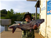 Cordel Sichantha of San Diego, 6.40 pound catfish caught 6-25-19 using cut mackerel in the center of