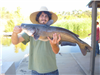 Elliot Berquist of Escondido, 10.60 pound catfish caught 10-27-18 using cut mackerel in Oakvale Cove