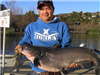 Fanta Phanthilath of Escondido, 31.15 pound Blue Catfish caught 12-31-12 on cut mackerel west of Sen