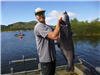 Jonathan Hanson of Oceanside, 54.80 pound Blue Catfish caught 6-7-20 using cut- Bonita at West Buoy 