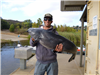 Justin Peterson of Valley Center, 37.00 pound Blue Catfish caught and relesead 10-27-19 using a swim