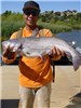 Kevin Khankeo of Escondido, 7.25 pound catfish caught 4-21-17 using a senko worm in Boat Dock Cove.
