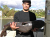 Sam Sengsouly of Escondido, 32.00 pound Catfish caught 11-18-12 on cut mackeral in Boat Dock Cove.