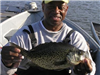Wendell Jackson, 1.95 pound Crappie caught 4-22-12 on a golden shiner in Boat Dock Cove