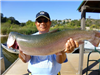 Alex Mateo of San Marcos, 11.25 pound trout caught 4-1-15 using powerbait on Senior Shoreline.