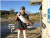 Fausto Saavedra of Poway, 8.10 pound trout caught 2-5-23 using yellow hook-up bait in Boat Dock Cove