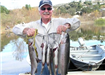 Jim Stevenson, Stringer of 5 Trout (13.70 pound) caught 1-12-12 in Boat Dock Cove