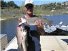 Joe Cruz of Escondido, 14.50 pound stringer of 5 Trout caught 3-21-12 on inflated nightcrawlers on S