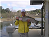 Keo Sitth of Escondido, 14.15 pound Trout caught 3-4-13 on a powerworm west of Senior Shoreline