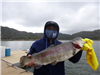 Noel Calangan of Escondido, 9.40 pound trout caught 2-13-21 using a mini-jig in Boat Dock Cove.