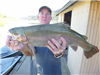 Roy Duncan of Escondido, 6.20 pound trout caught 12-12-17 using a mouse-tail in Boat Dock Cove.