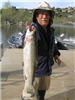 Tong Nguyen of Escondido, 7.50 pound Trout caught 3-23-12 on green powerbait at Bass Point