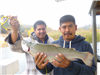 Tono Ramirez of Escondido, 5.60 pound trout caught 1-8-18 using salmon eggs in Willow Cove