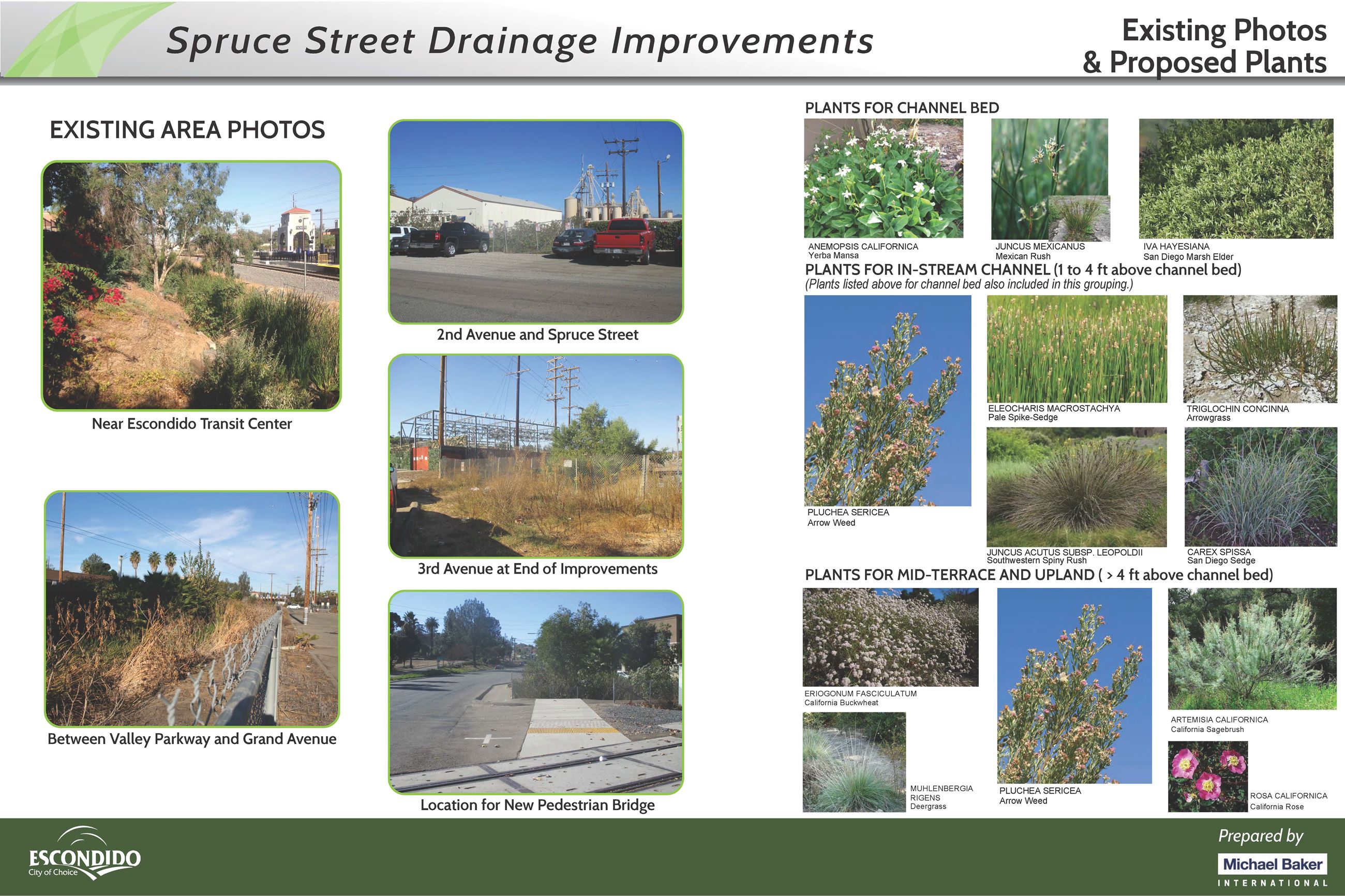 Spruce Plants Existing and Proposed Plants