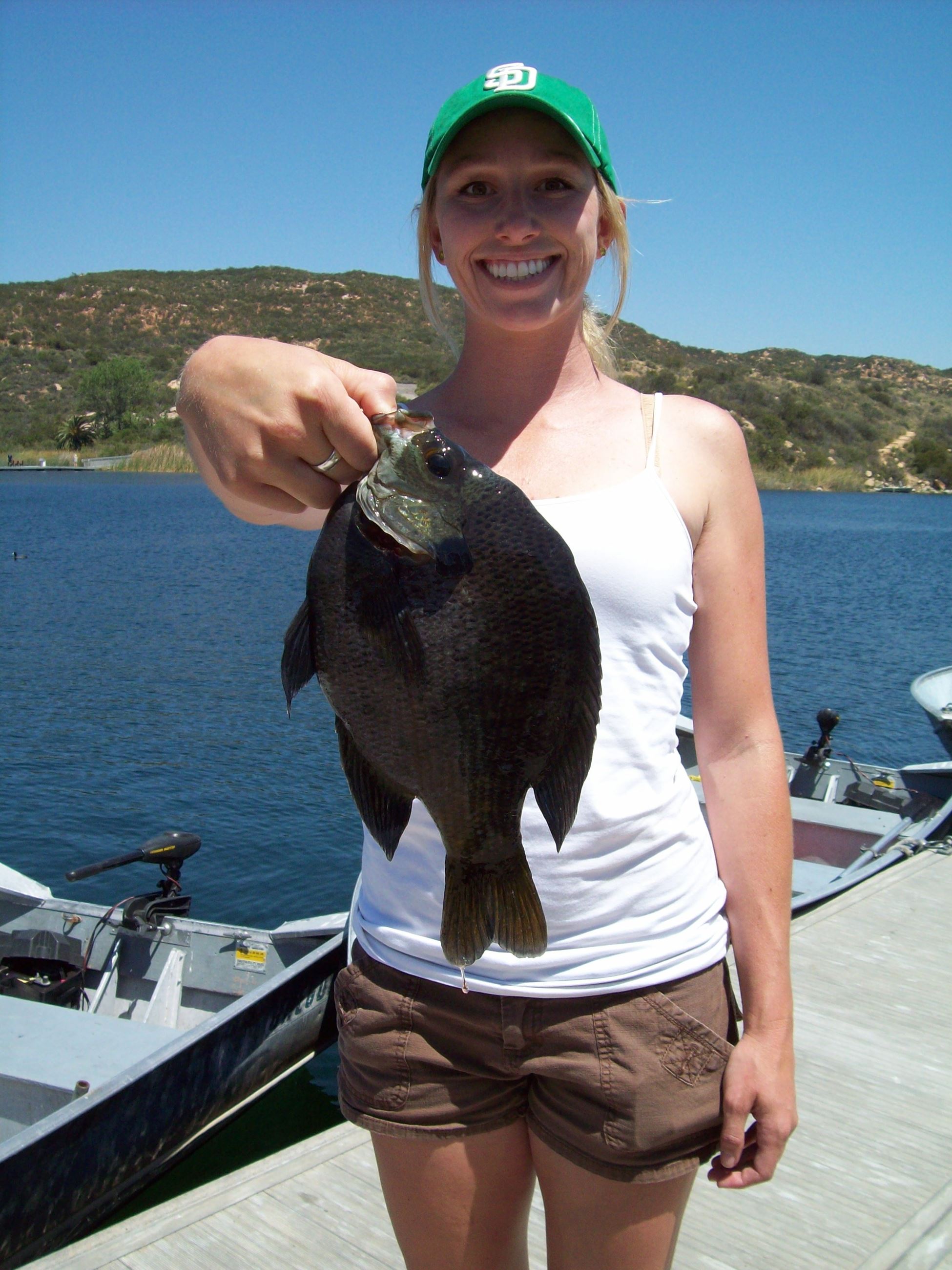 Nice bluegill - name unknown 2013