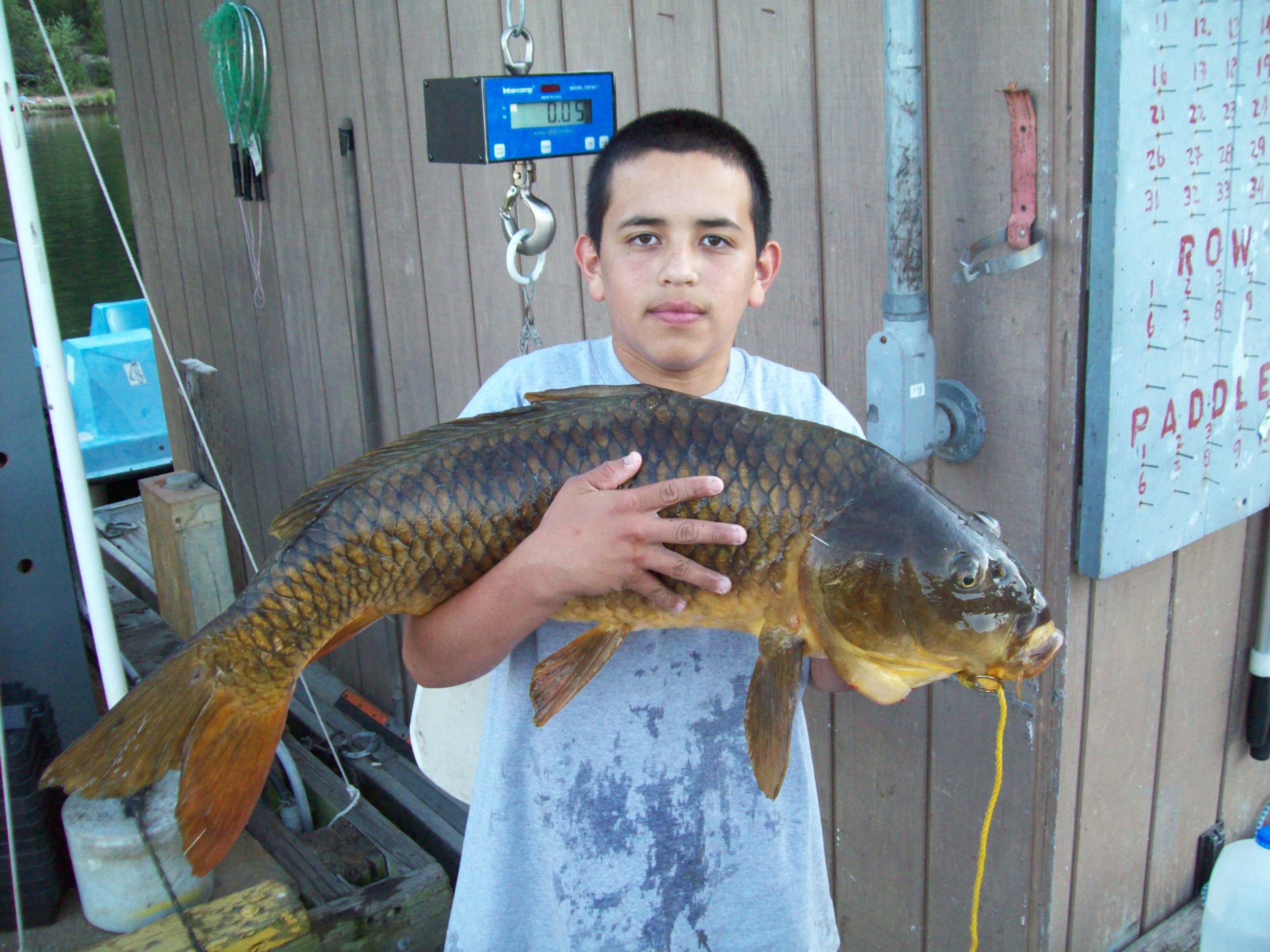 Peter Ortega of Escondido with a 24.25 Pounds carp caught on cornbread from Boat Dock Cove 7-19-12