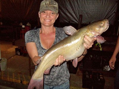 Karrie Wilson of Escondido, 6.55 Pounds Catfish caught on Cut Mackerel