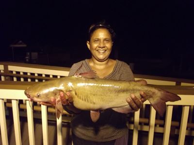 Annent Carrasgo of Escondido, 6 Pounds Catfish caught on Chicken Livers in Trout Cove