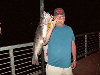 Roy Dinner of Escondido, 13.50 Pounds Catfish caught on Squid off Pier 2