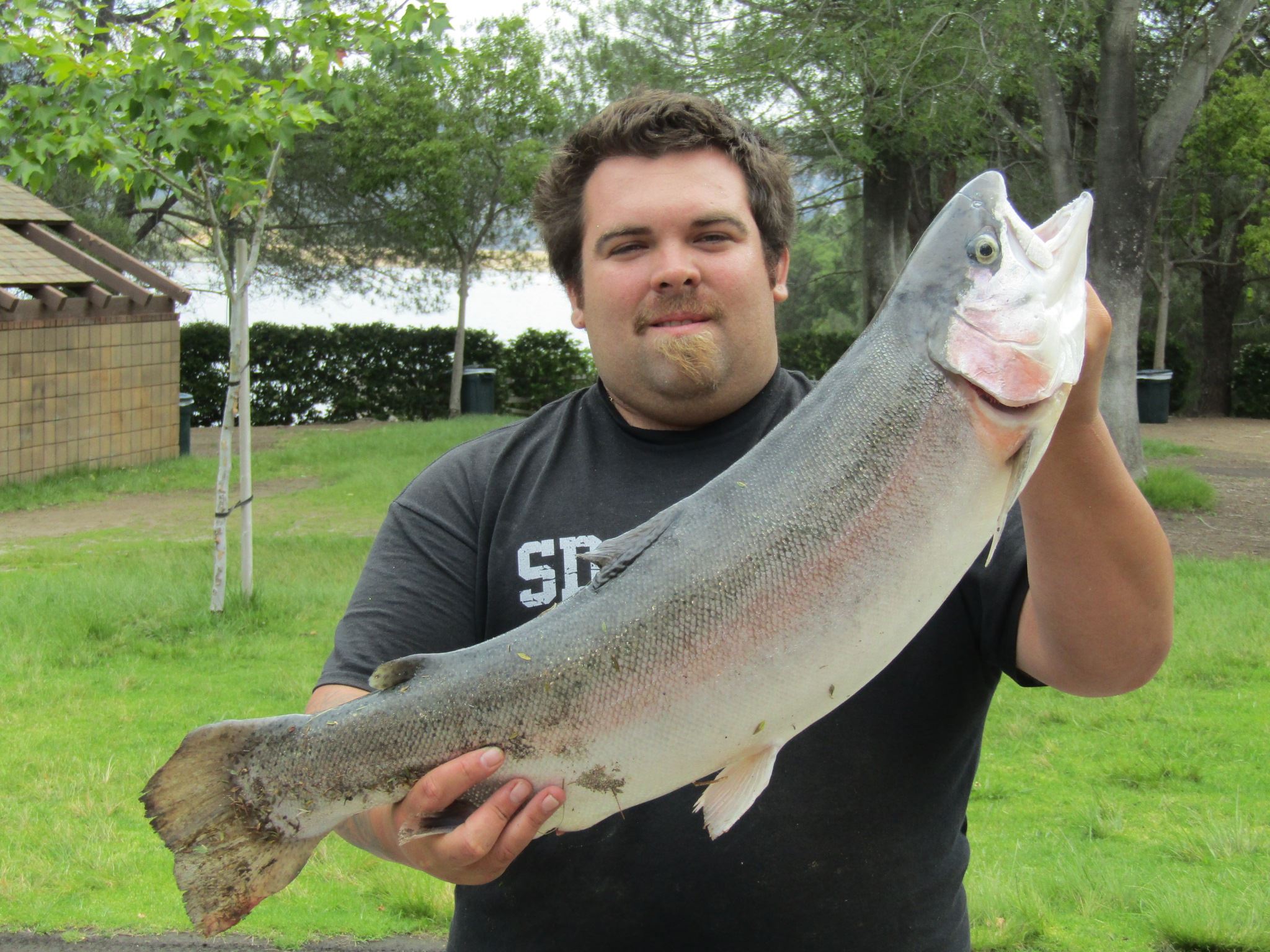 Tanner Holt with a 14 Pounds 12 Ounces tail walker trout caught on a flying dutchman lure at Trout cove on 5-25-17