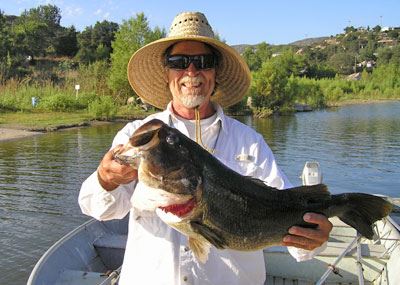 Sam Bush of Carlsbad, 9.45 pound Bass caught and released 9-3-11 using Gold-Colored Senko near West 