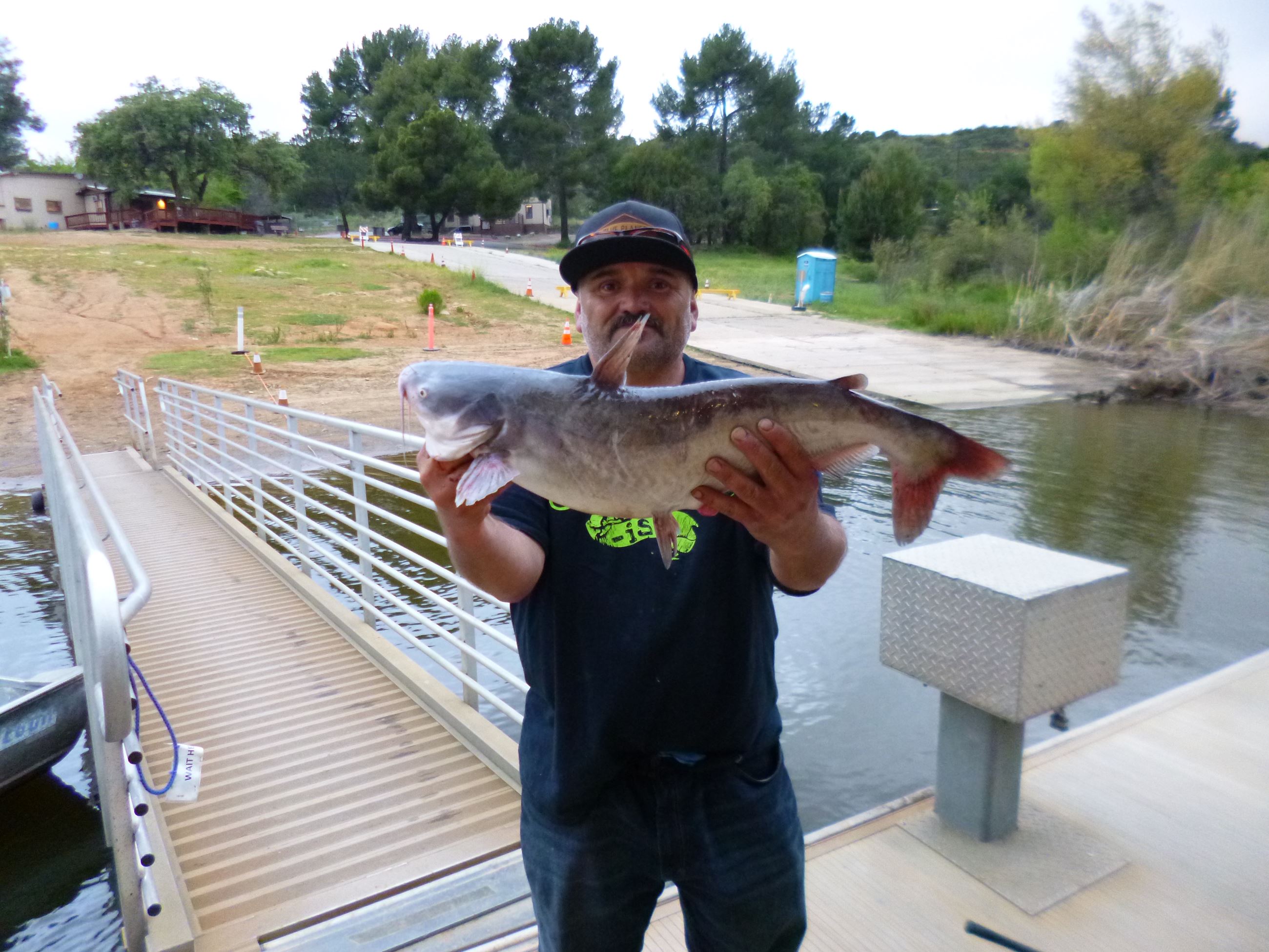 Terry Weight of Escondido, 7.00 pound catfish caught 5-1-23 using a nightcrawler at the west buoy li