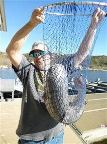 Tracy Franklin of Santee, 15.95 pound Catfish caught 1-19-13 using powerbait in Oakvale Cove