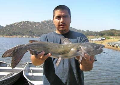 Victor Sarabia of Escondido, 4.18 pound Catfish caught 8-1-09 on Chicken Liver at Bass Point