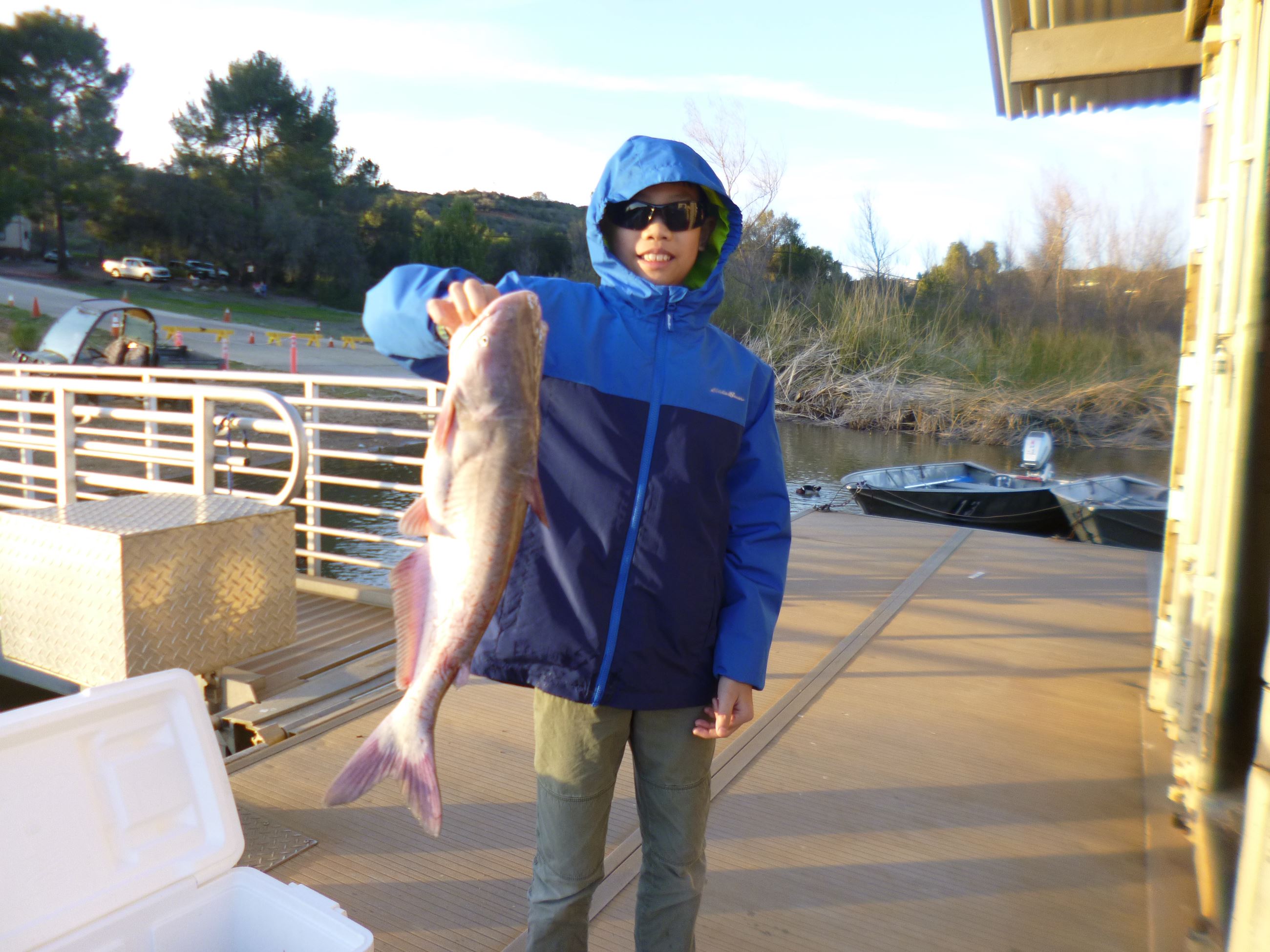 Vincent Tran of San Diego, 5.30 pound catfish caught on 2-3-23 using chicken liver at the Crappie Fl