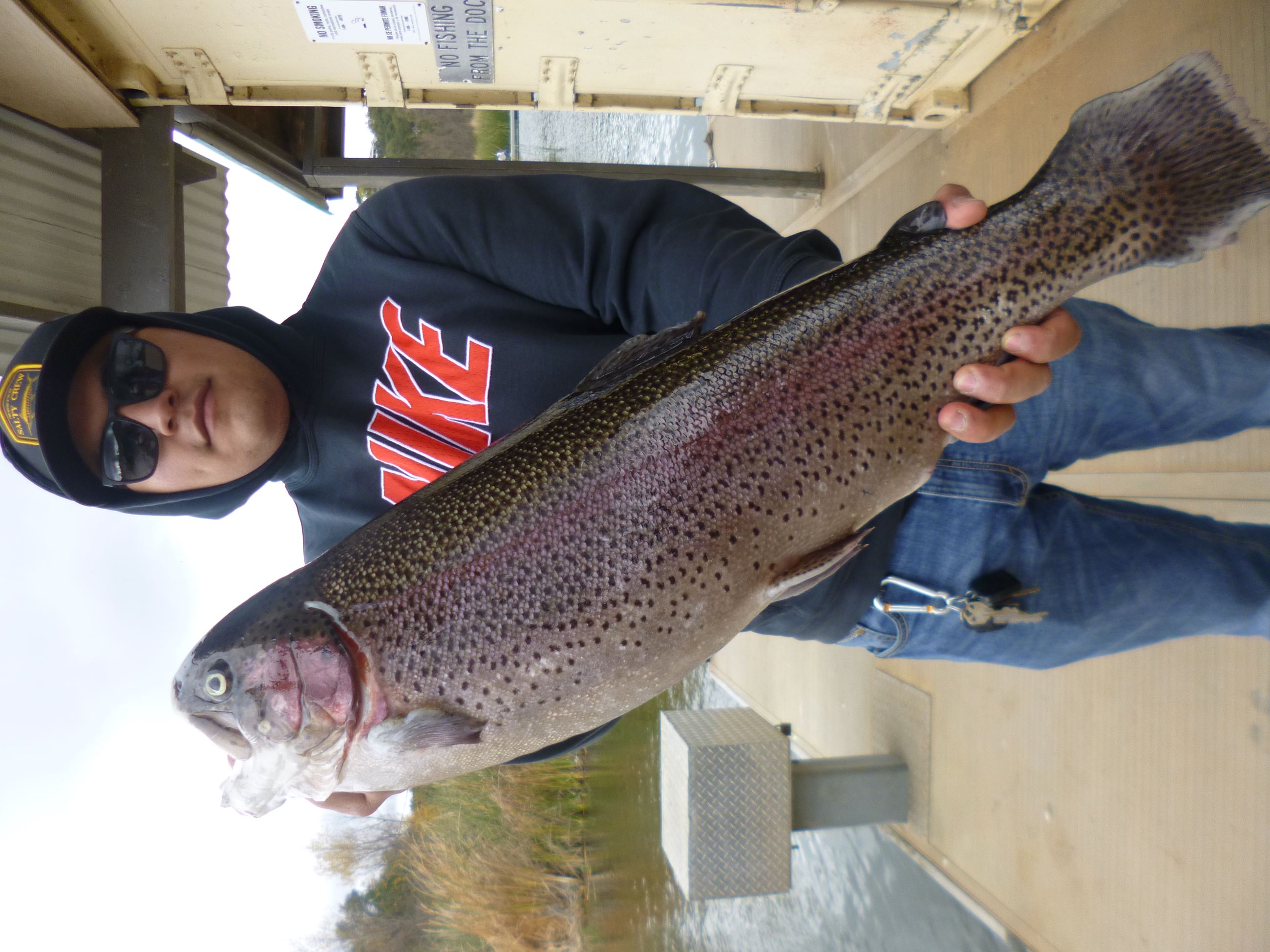 Daniel Reynaga of Escondido, 10.00 pound trout caught 12-31-21 using a mini-jig in Willow Cove.