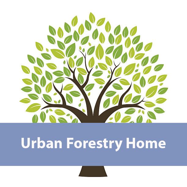 Urban Forestry Home