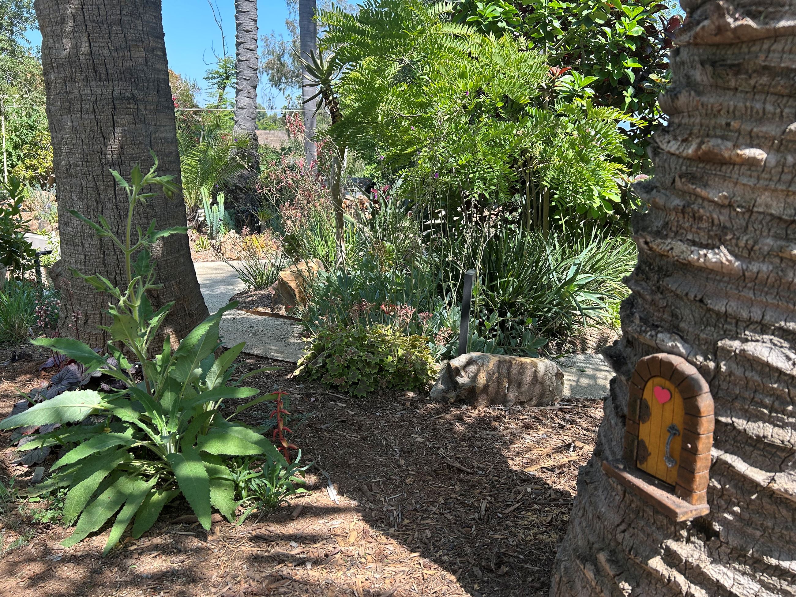 an elf door affixed to a tree trunk