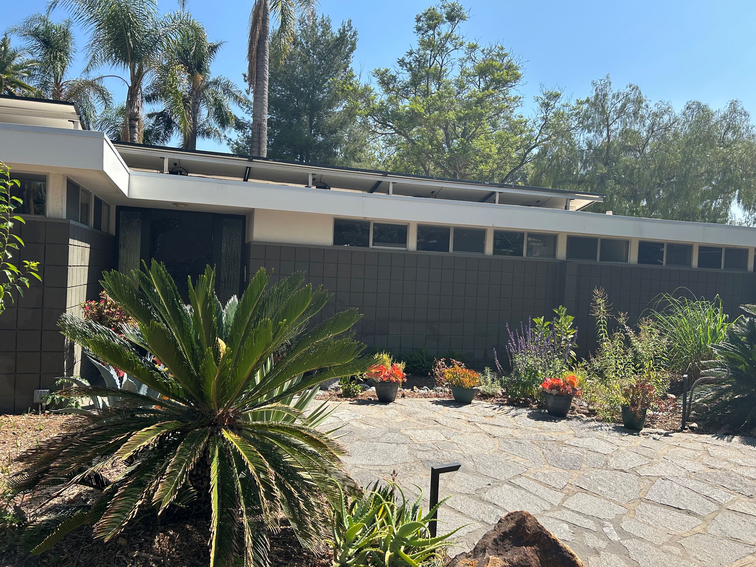 planting in front yard, irrigated by graywater system that recaptures water from the laundry room