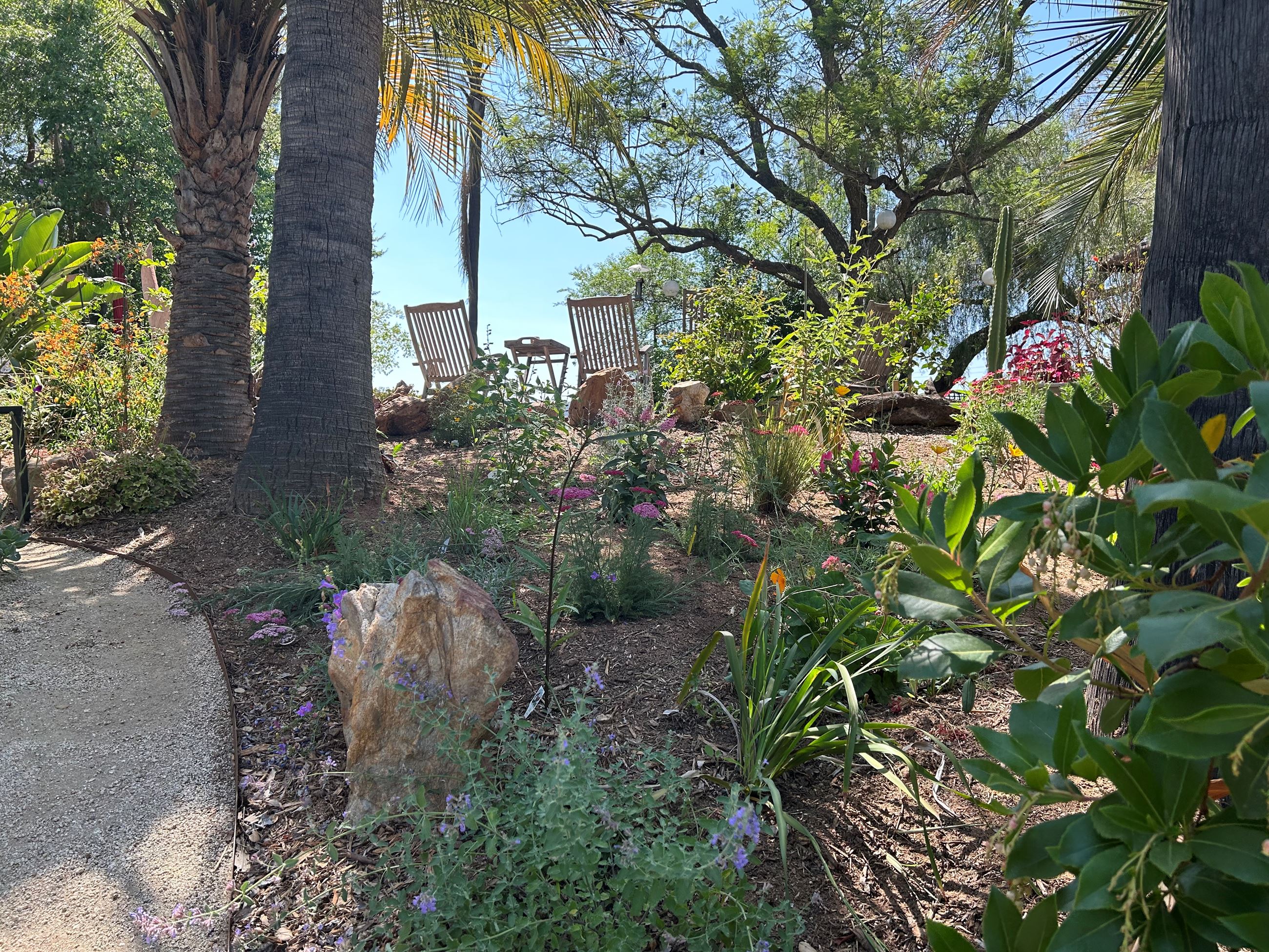 variety of California-native plants in bloom